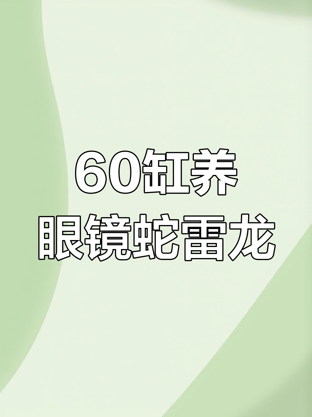 60缸养眼镜蛇雷龙,状态不错但饲料选择让人头疼