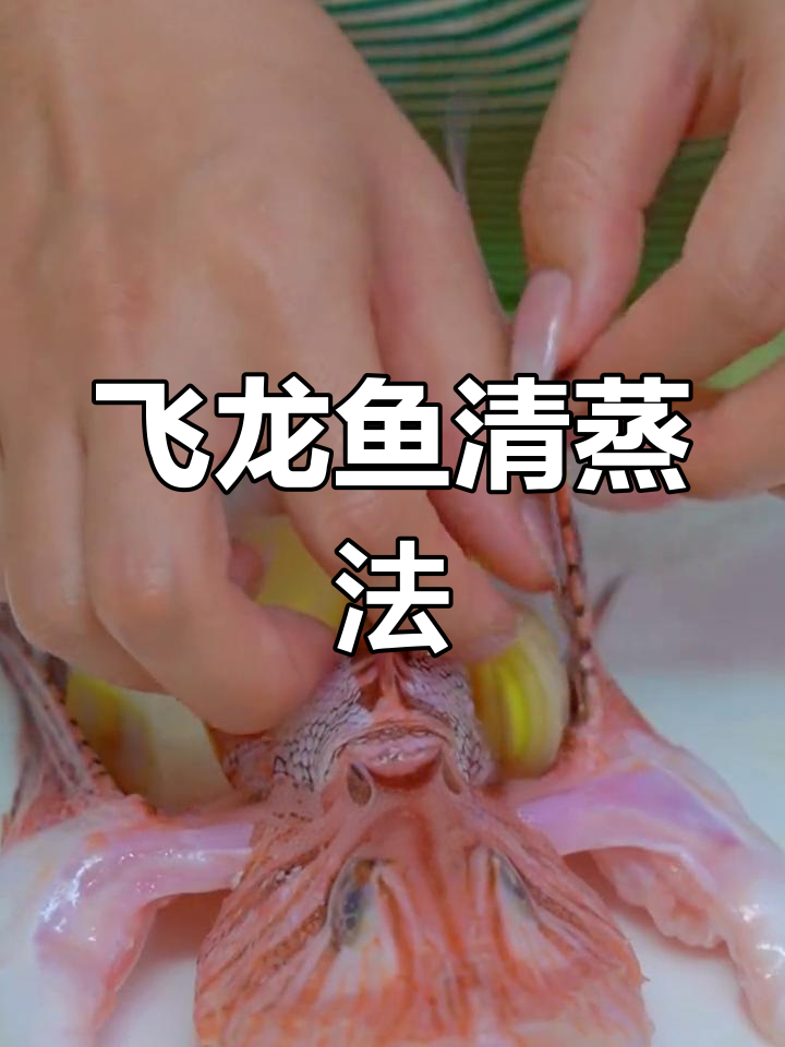 清蒸飞龙鱼,简单美味做法