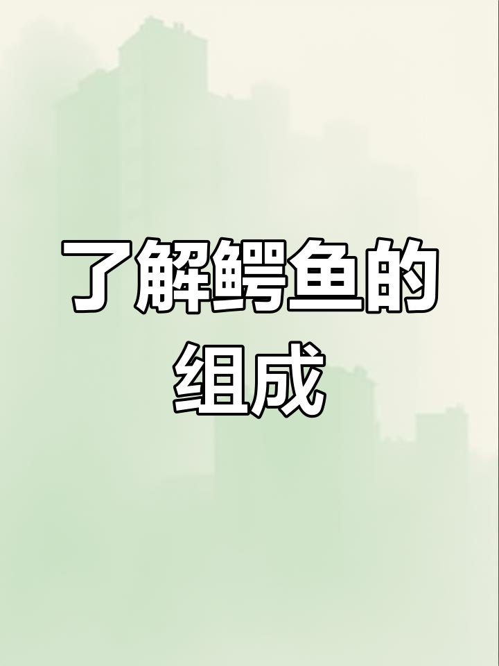 探索鳄鱼结构与生存环境