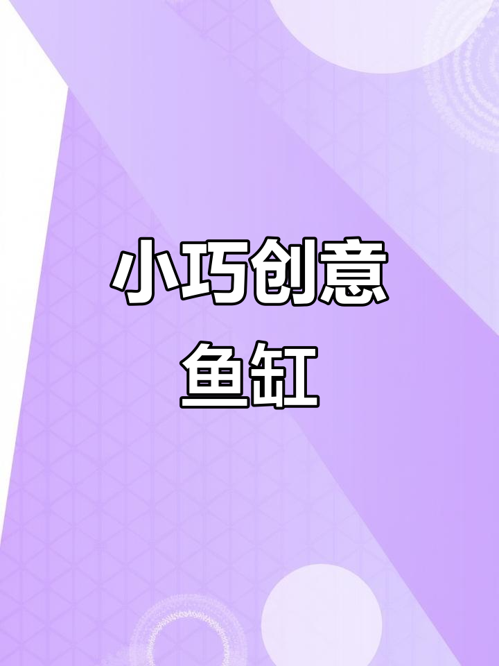 创意圆形鱼缸,适合办公室或家居装饰的小型金鱼缸