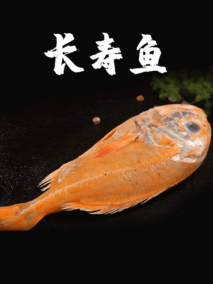 长寿鱼的做法,今天是蒸一下,实在太棒了