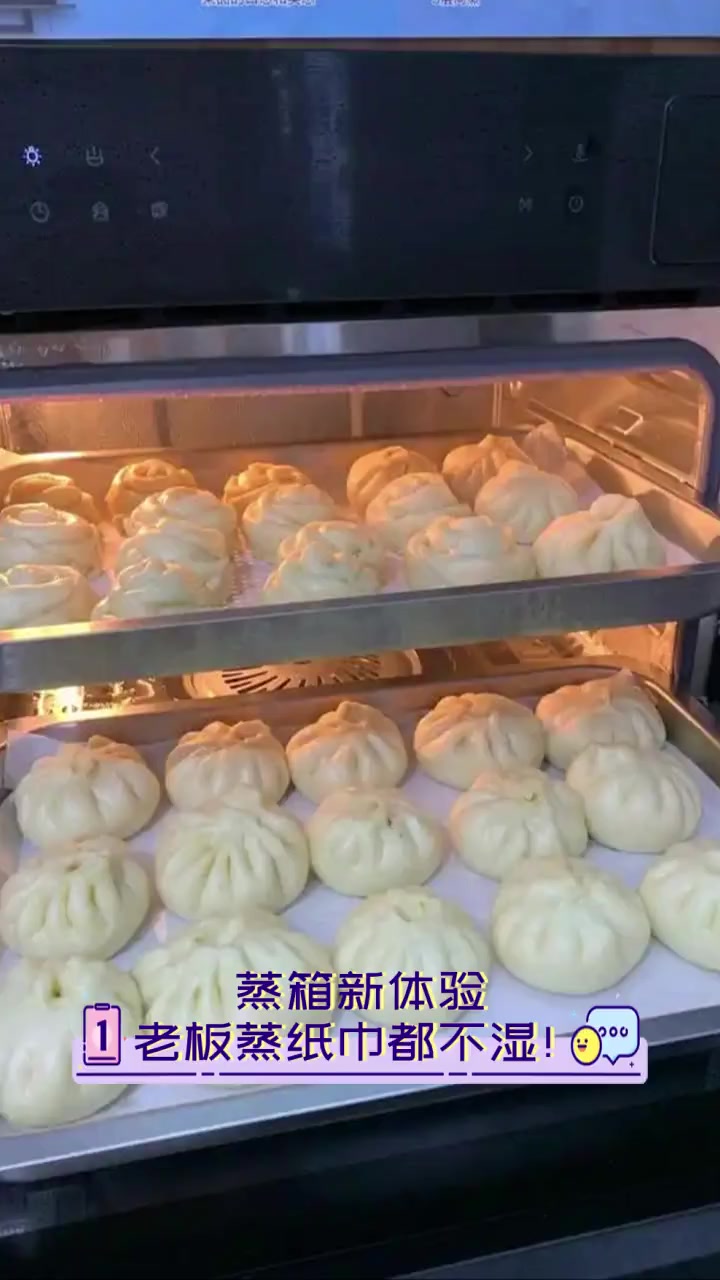 蒸箱新体验,老板蒸纸巾都不湿!