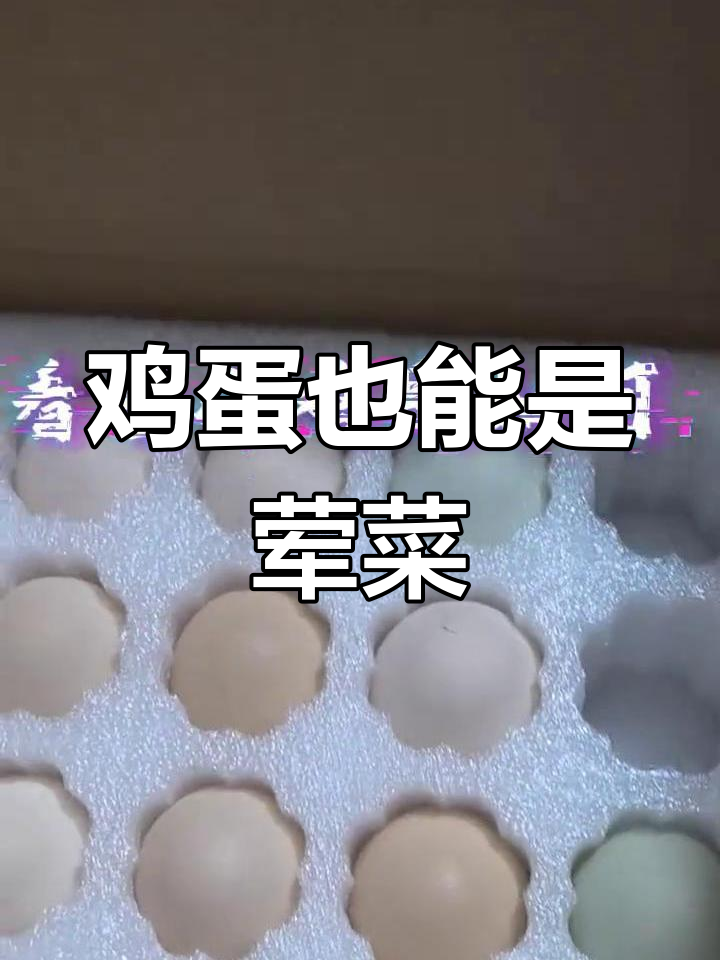 小鸡成长全纪录:从蛋到五彩大公鸡的蜕变