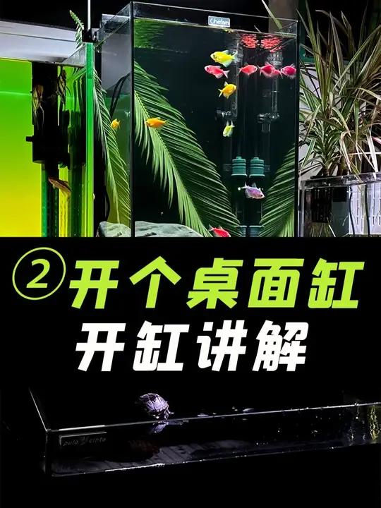 新手养鱼快速开缸,桌面高配版,有干货和开缸清单!