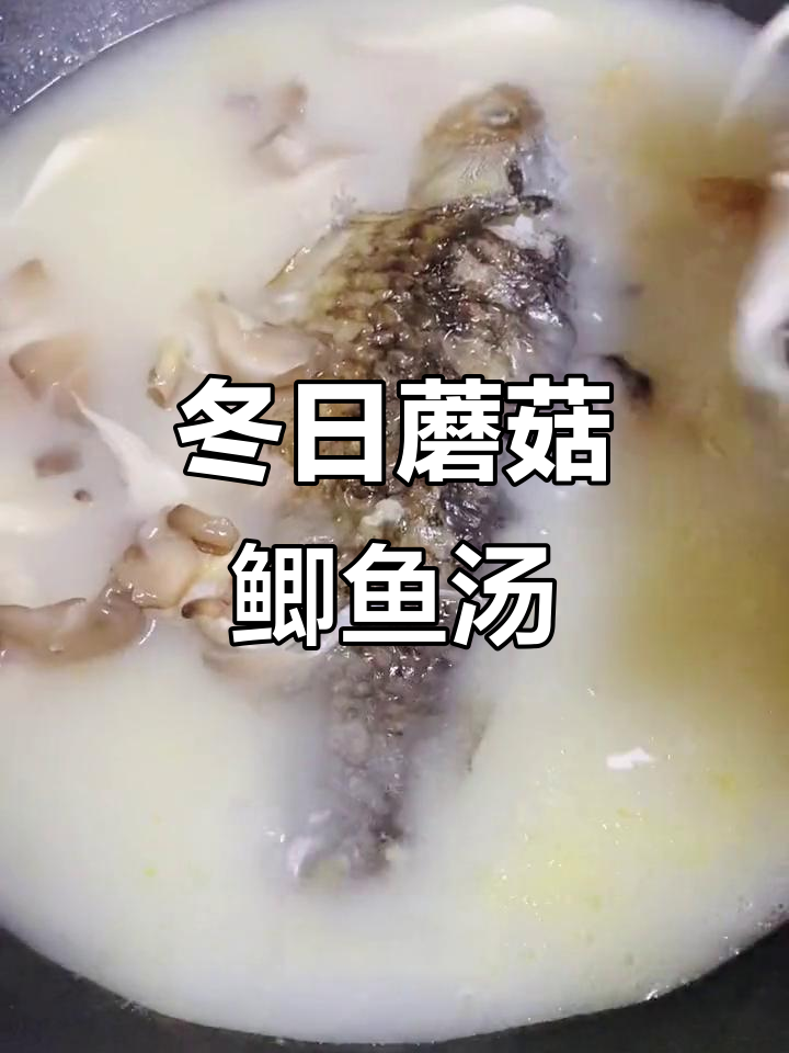冬季蘑菇鲫鱼汤,简单又美味,喝上一口暖心又暖胃