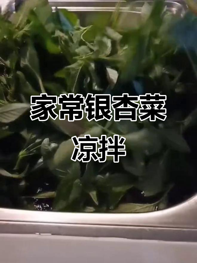 阴雨天里的家常美味,银杏菜凉拌配饼吃最香