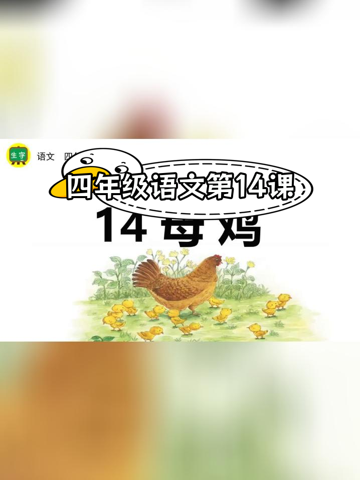 四年级下册语文课文14:母鸡生字解析