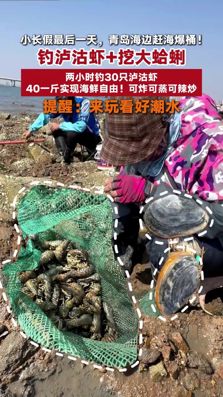 小长假最后一天，青岛海边赶海爆桶！钓泸沽虾+挖大蛤蜊，两小时钓30只泸沽虾，40一斤实现海
