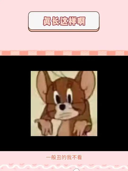 老天爷赏表情包吃 猫咪 表情包 万万想不到