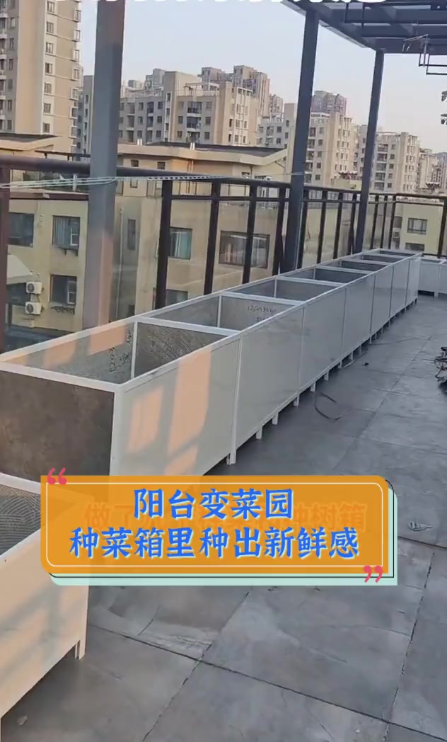 阳台变菜园,种菜箱里种出新鲜感