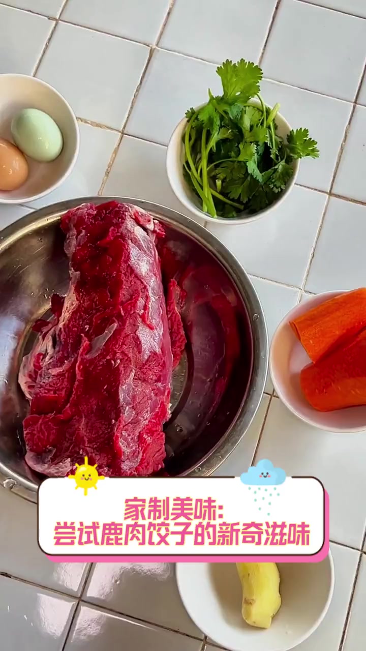 家制美味:尝试鹿肉饺子的新奇滋味