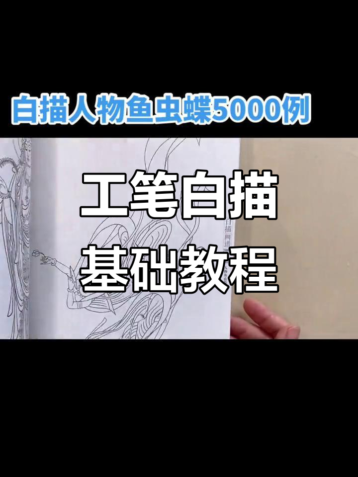 白描图谱五千例,工笔画入门必备技巧与范例解析