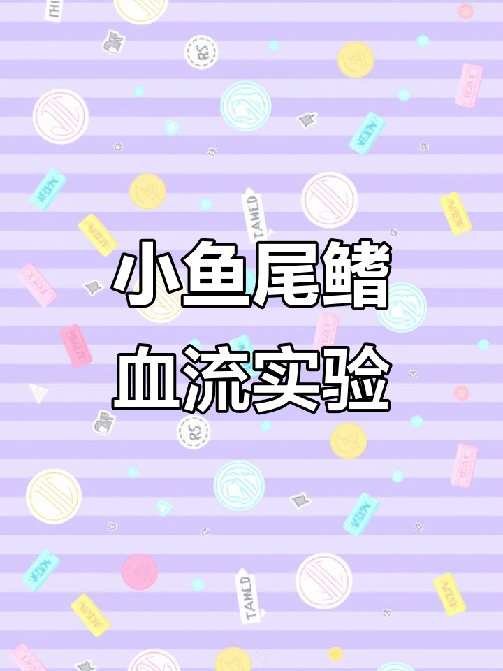 观察小鱼尾鳍内血液流动,掌握显微镜操作技巧