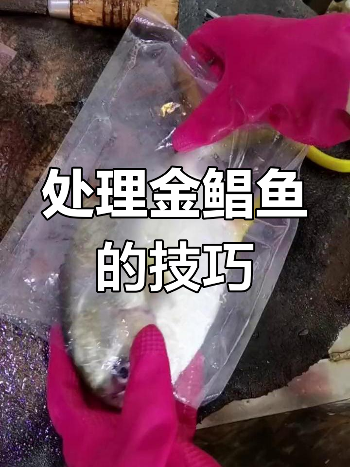 轻松处理金鲳鱼,无需刀具