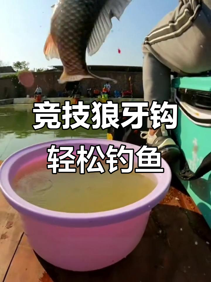黑坑鲤鱼钓钩选择技巧,竞技狼牙钩轻巧又防脱