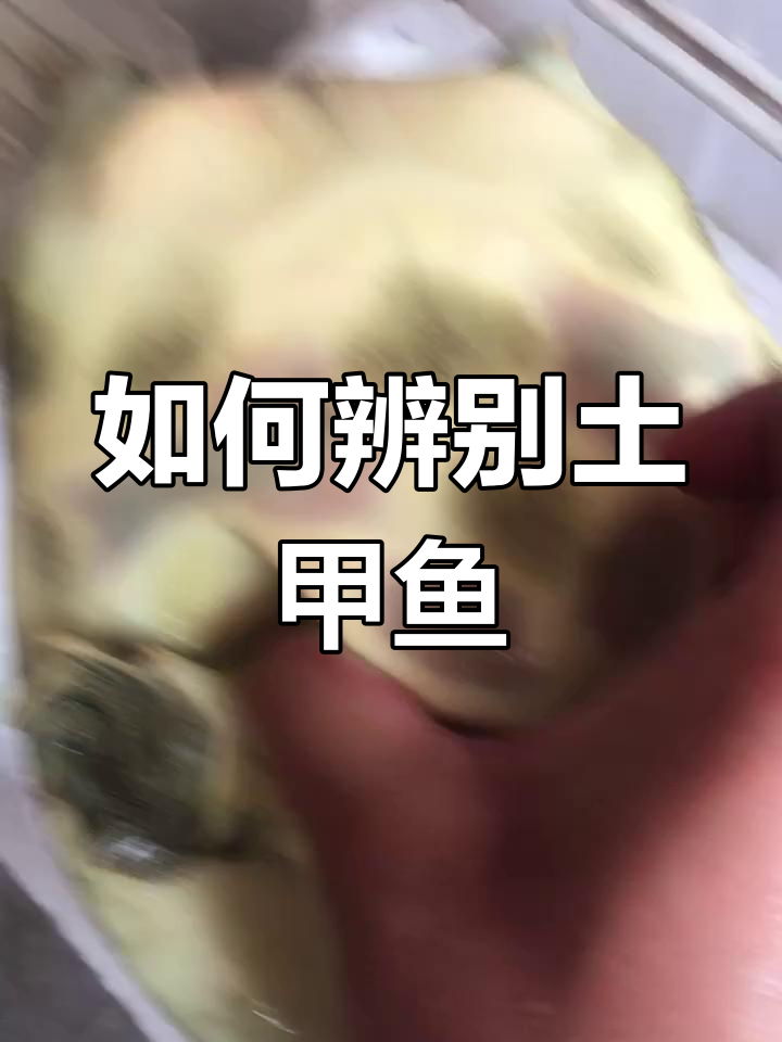 土甲鱼特征解析:腹部、背部与尾部变化