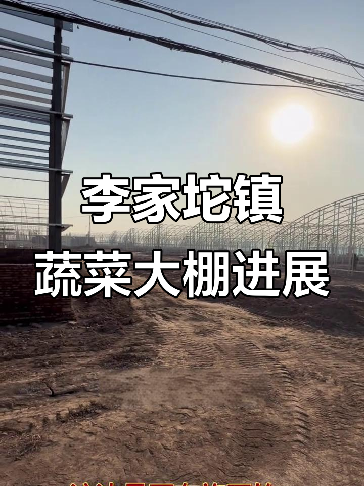 山东济宁李家坨镇蔬菜大棚建设现场,已完工与施工中对比