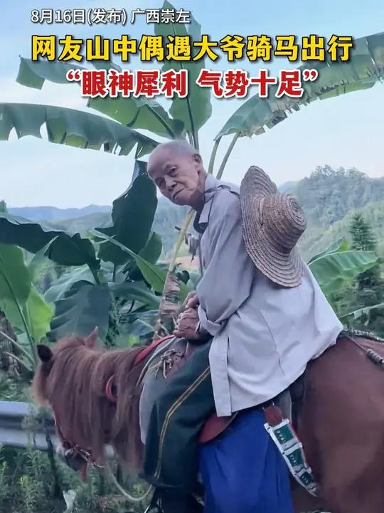 网友山中偶遇大爷骑马出行,“眼神犀利 气势十足”「来源:@广西天等(赤苍藤)姑娘菜龙须菜辣