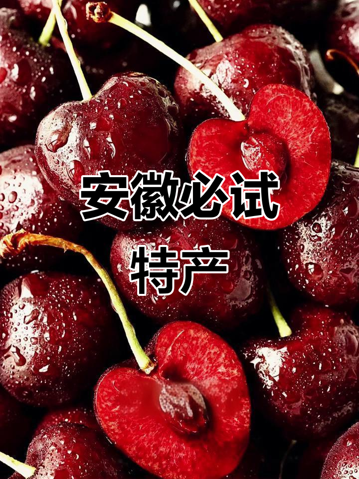 安徽必试特产
