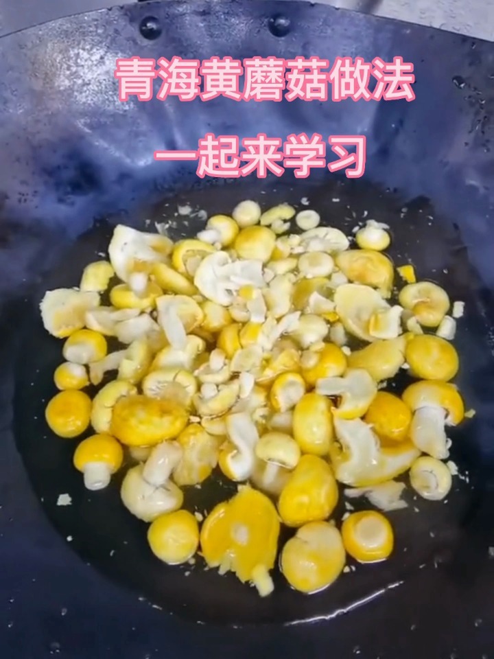 青海祁连野生黄蘑菇做法