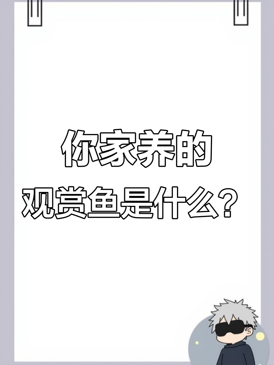 14种常见观赏鱼，看看你家养了几种？