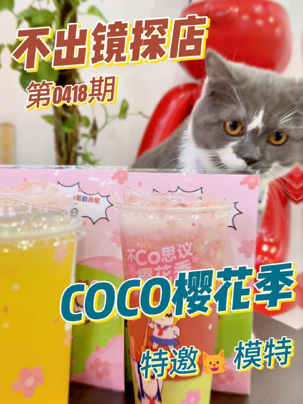 猫猫评测!COCO樱花季新品来袭,可爱的少女们冲不冲?仙女都在喝什么 网红饮品打卡 好喝的