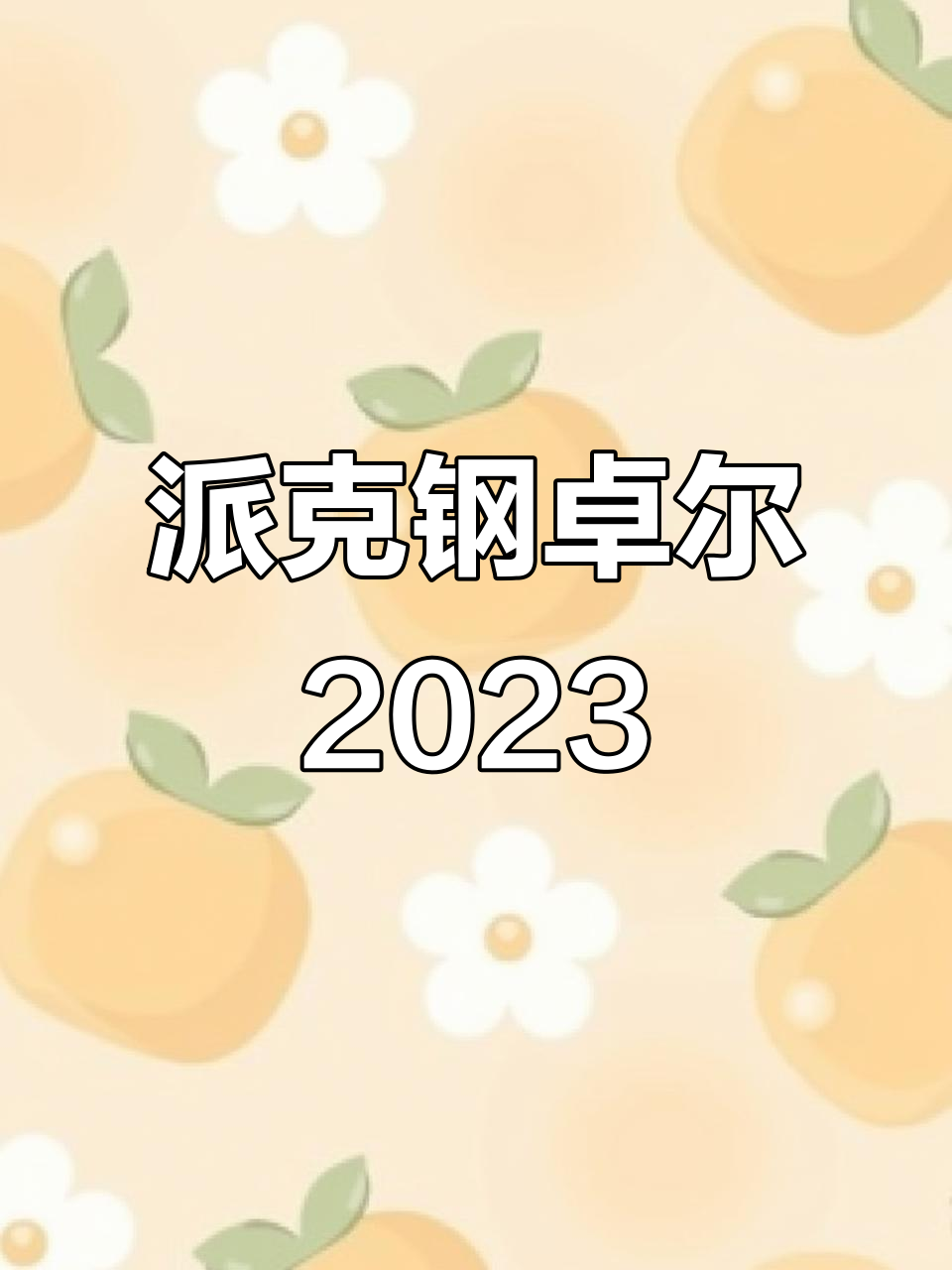 派克钢卓尔2023:法国原装金笔,软弹丝滑书写体验