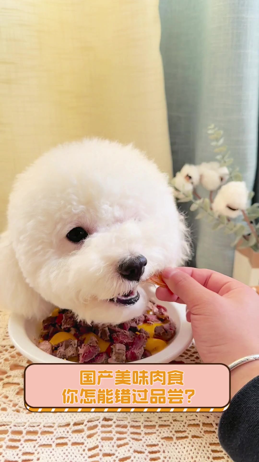 国产美味肉食,你怎能错过品尝?