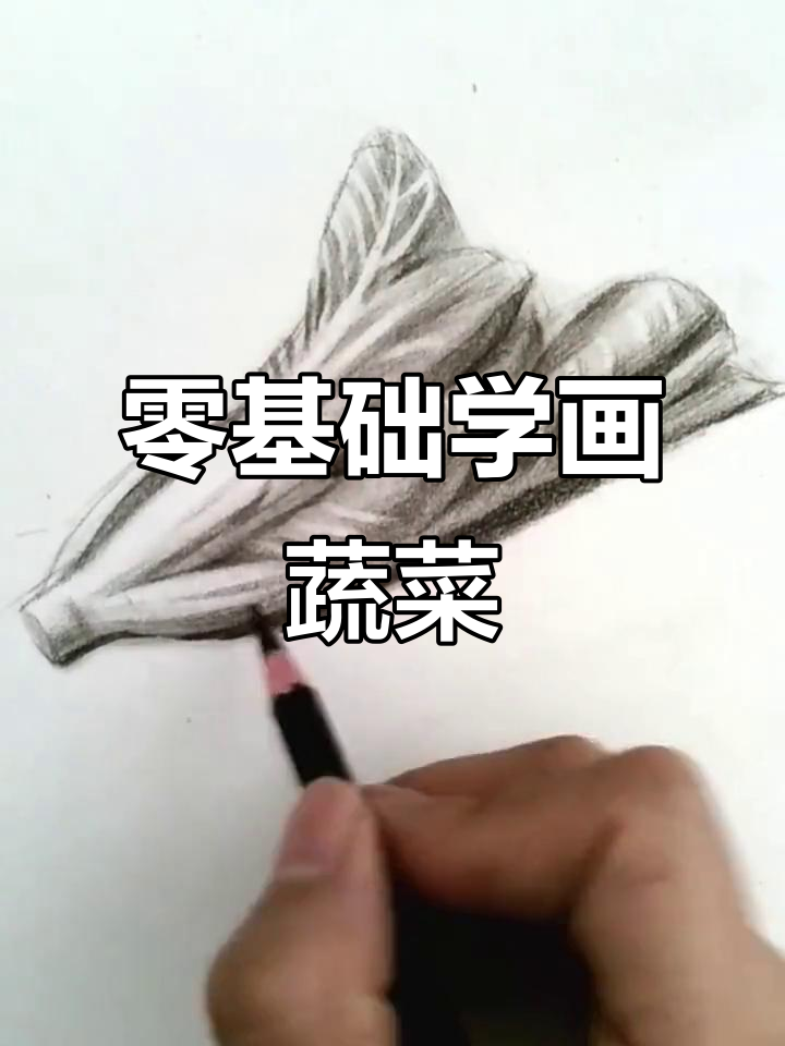 从零基础到画出可爱小白菜,步骤详解教你轻松上手