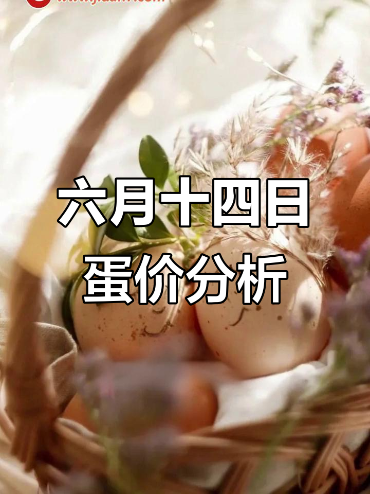 6月14日鸡蛋价格波动:市场供需调整,未来走势难言乐观
