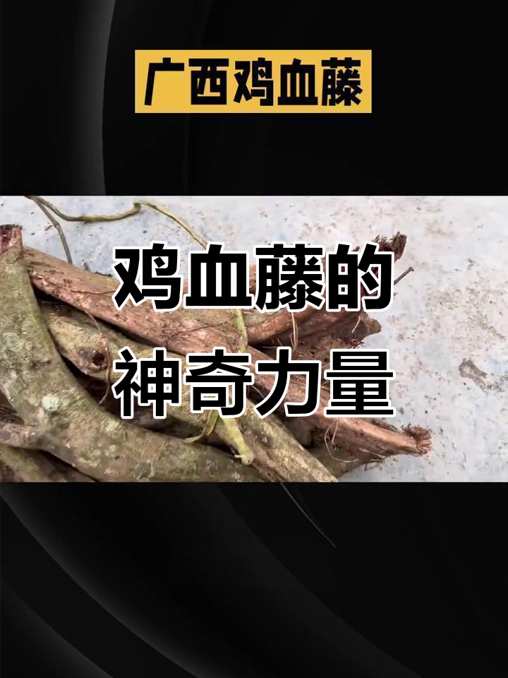 广西鸡血藤:中草药宝藏,能量满满