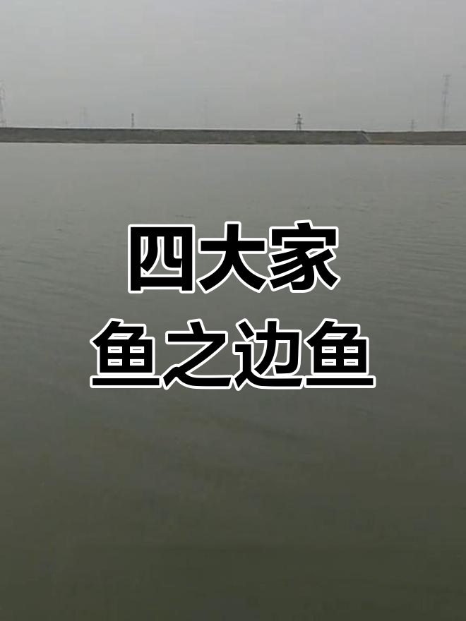 边鱼养殖技术解析