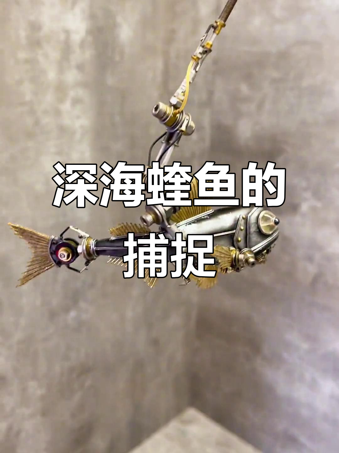 2015年深海蝰鱼捕猎瞬间,艺术自然完美结合