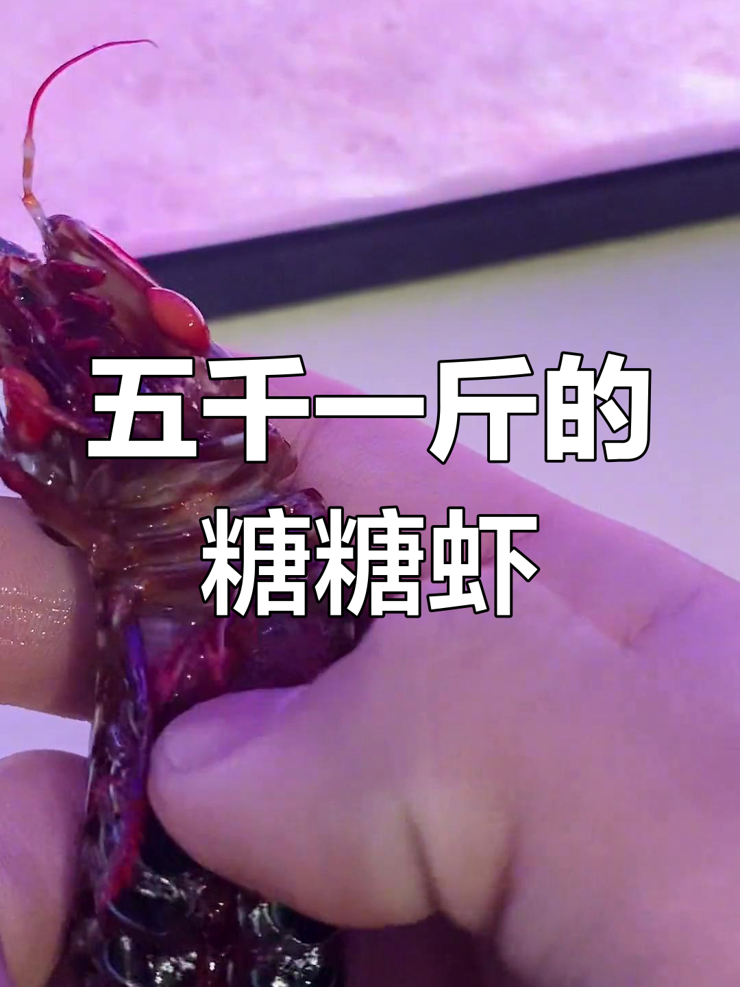 雀尾螳螂虾死亡之谜