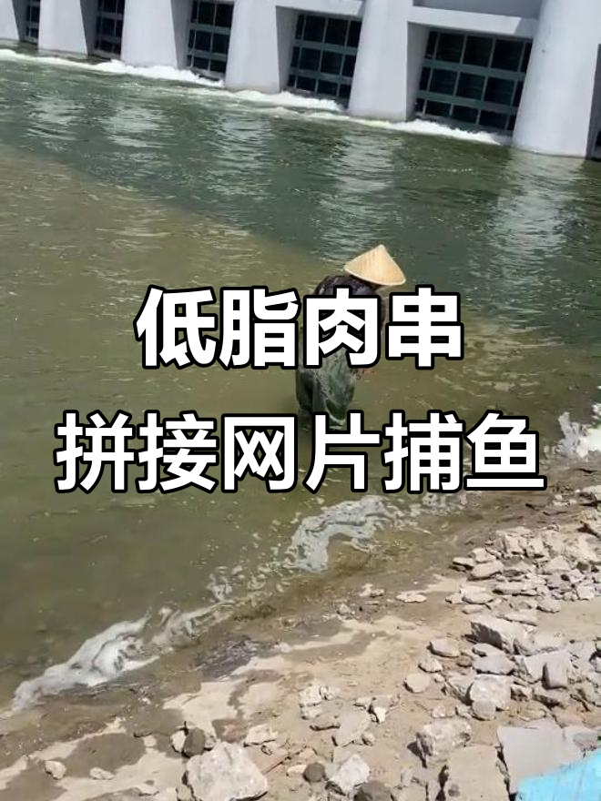 户外撒网捕鱼技巧,轻松抓小鱼小虾