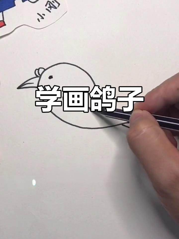 鸽子简笔画教程