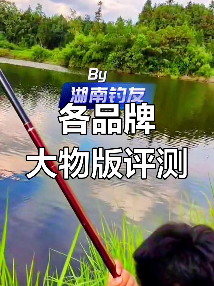 达亿瓦棕遡与多款鱼竿对比
