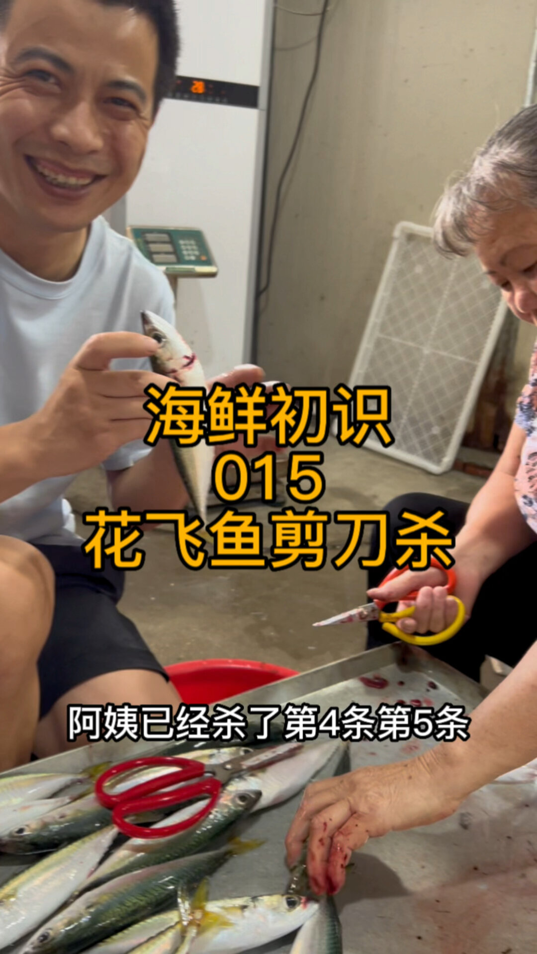 花仙鱼也叫鲭花鱼这种干煎好吃