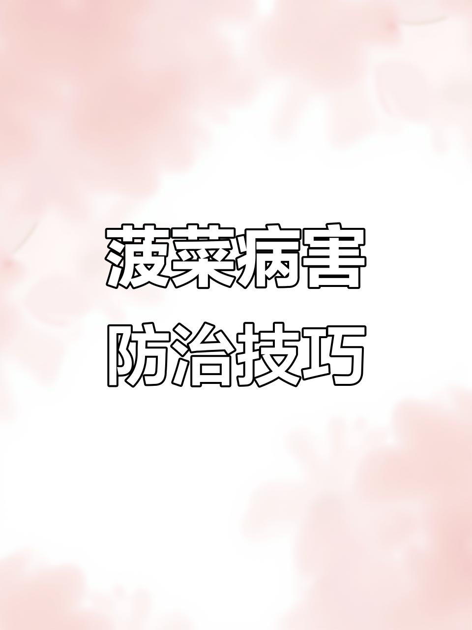 菠菜常见病害防治全攻略,霜霉病、灰霉病等如何应对