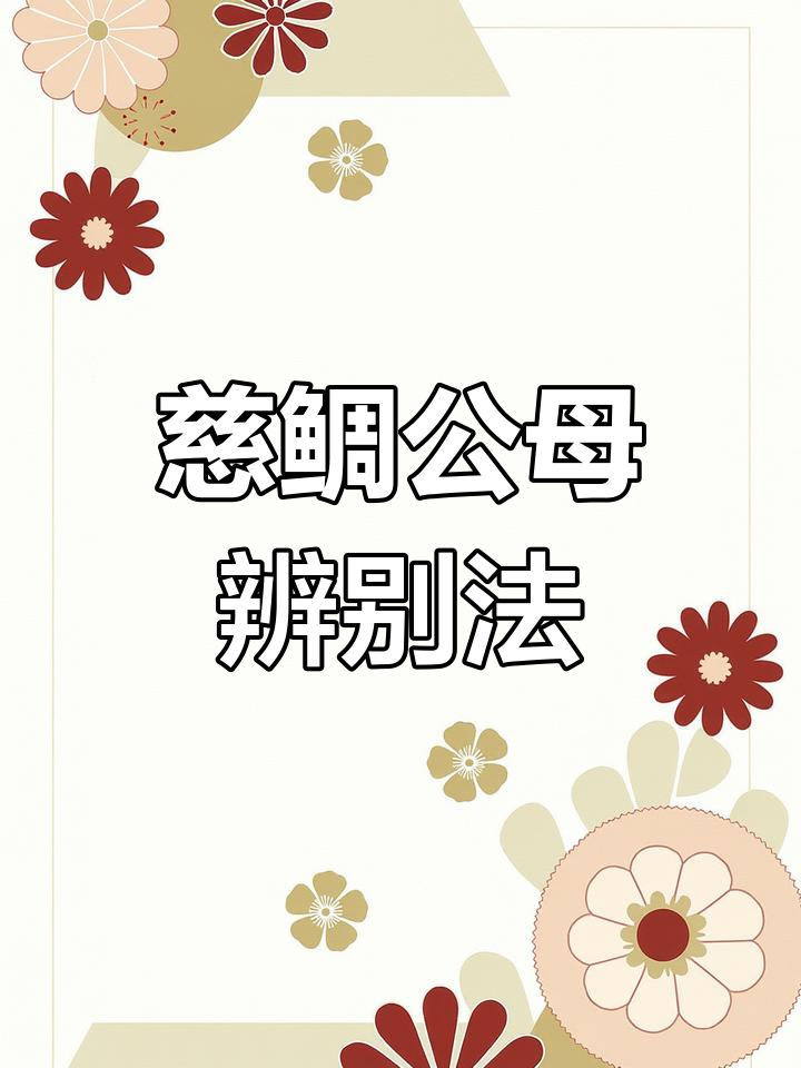 如何区分慈鲷性别?