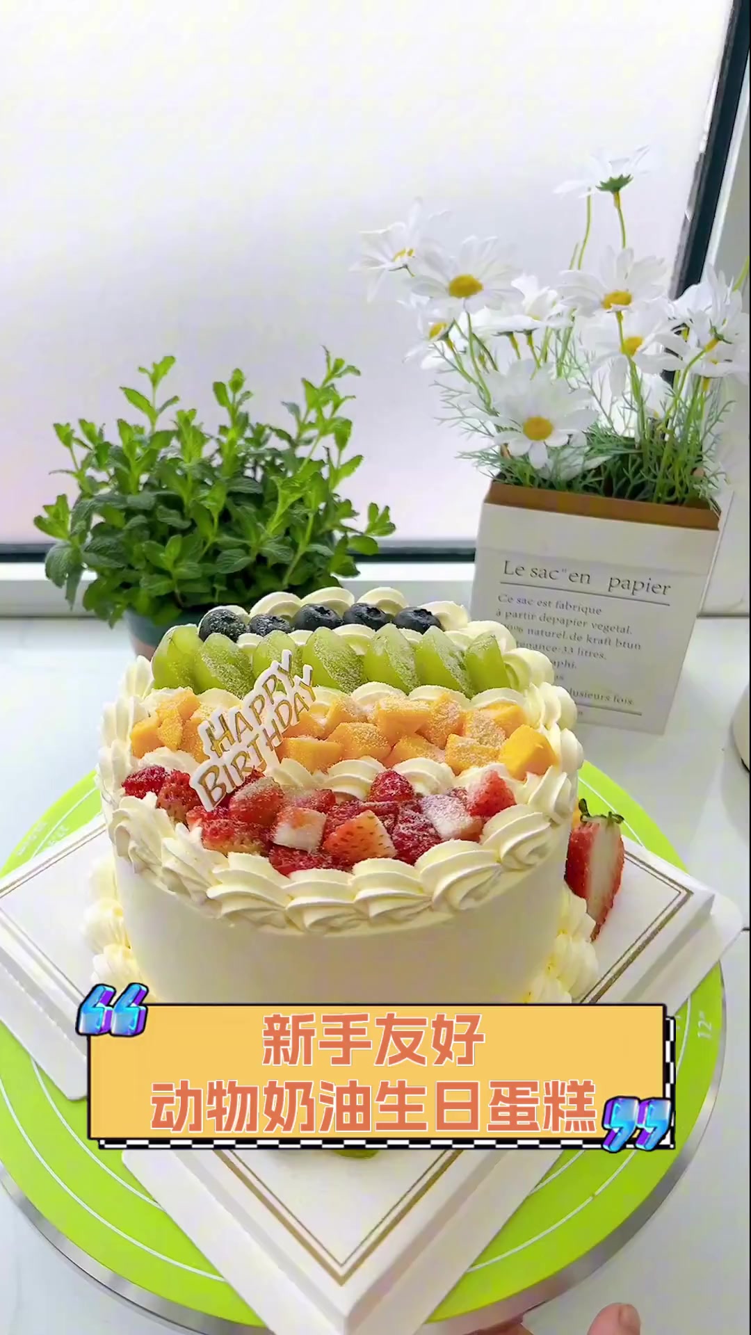 新手友好动物奶油生日蛋糕