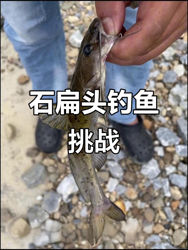 钓鱼钓到石扁头,雨天水浑难搞!