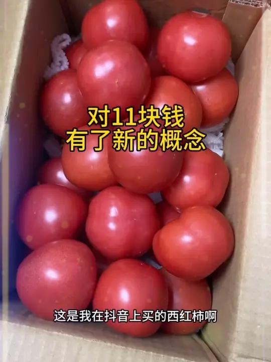 对11块有了新的概念,早点识破资本主义的消费陷阱,突然发现日子会好过很多#优质农产品 #蔬