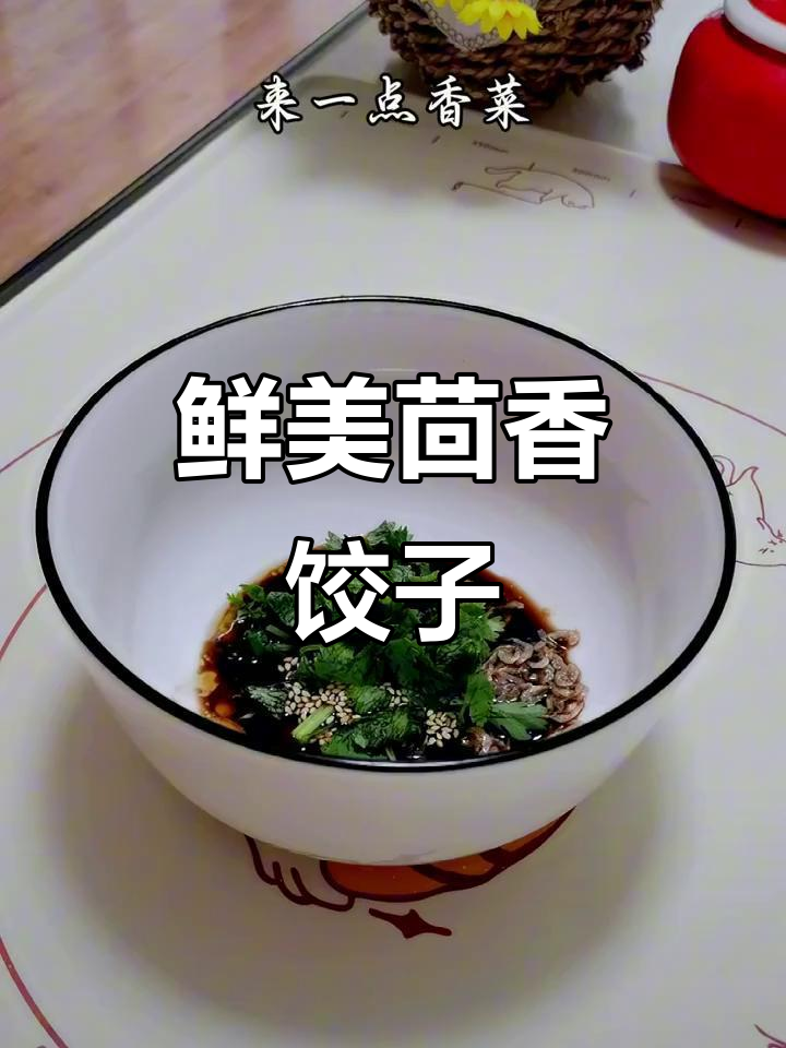 茴香肉馅饺子,酸汤水饺的完美搭配