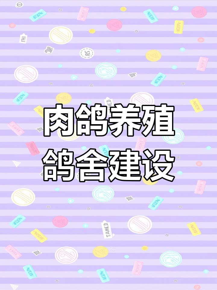 鸽子养殖鸽舍建造技巧:选址、材料与设施全解析