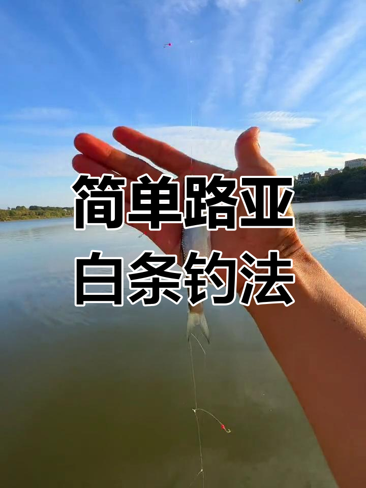 路亚白条鱼钓法全解析:轻松掌握七星钩技巧