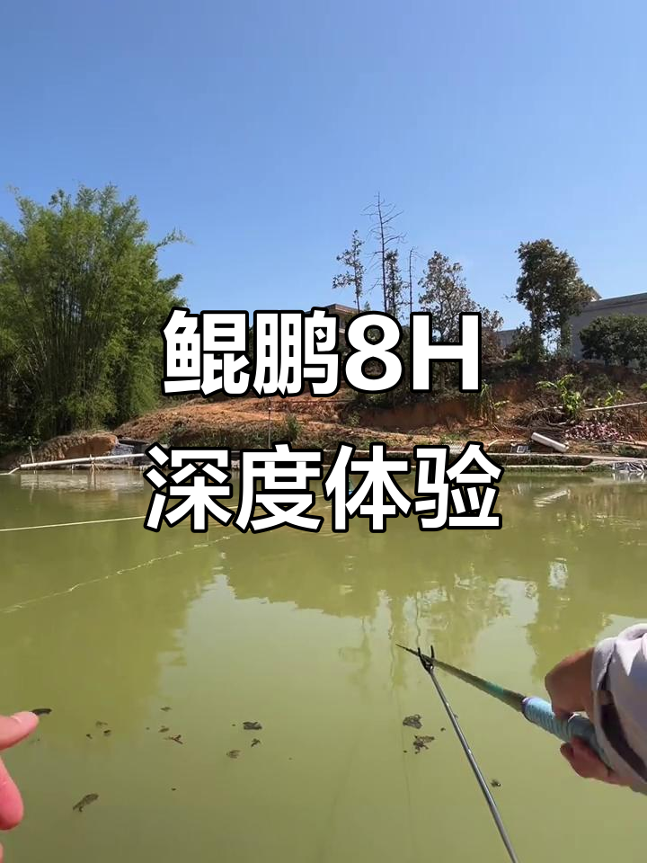 鲲鹏8H硬控草鱼,强力飞起挑战极限