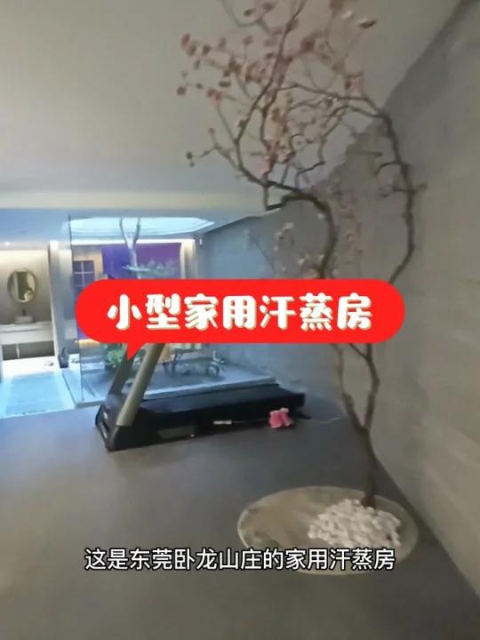 小型家用汗蒸房5平方家庭式光波房