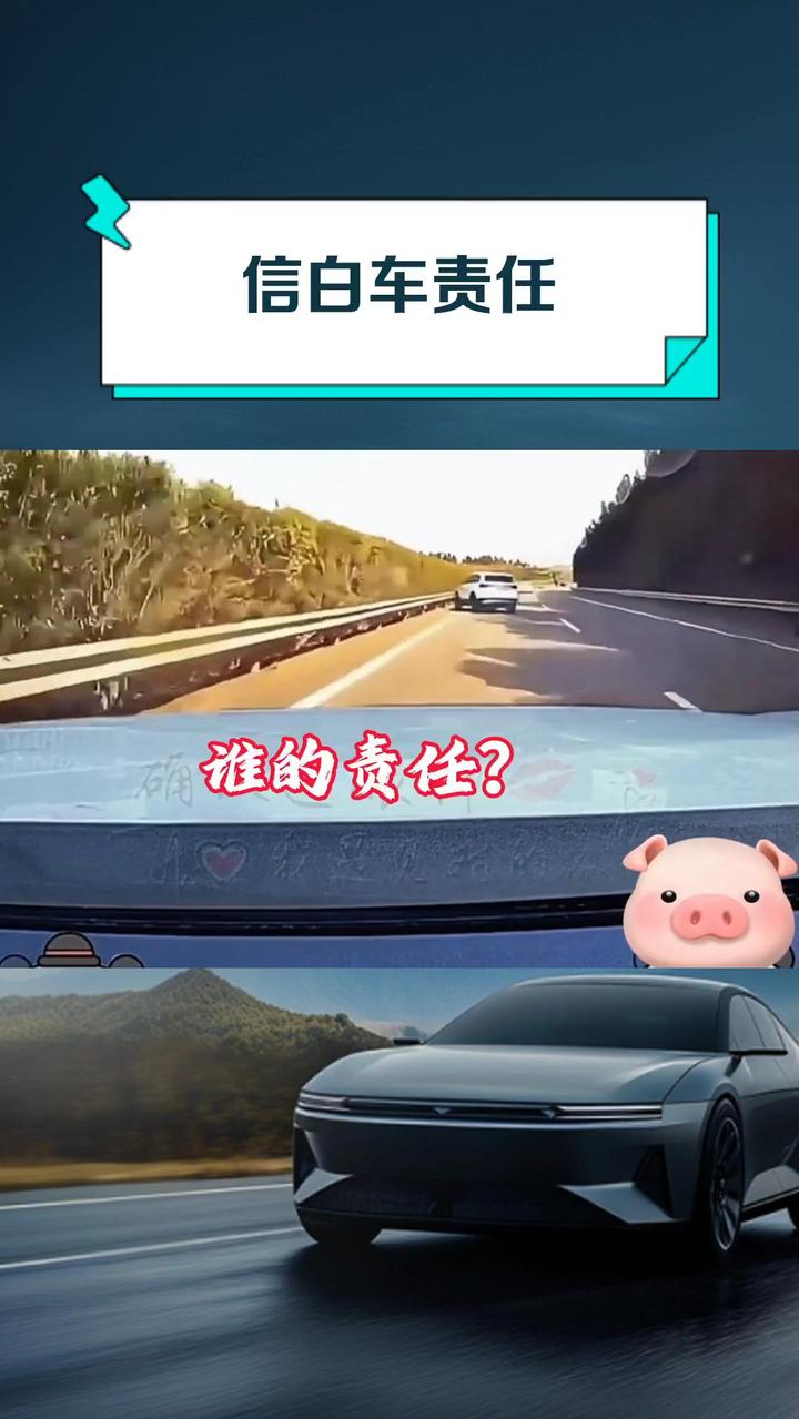 信白车责任