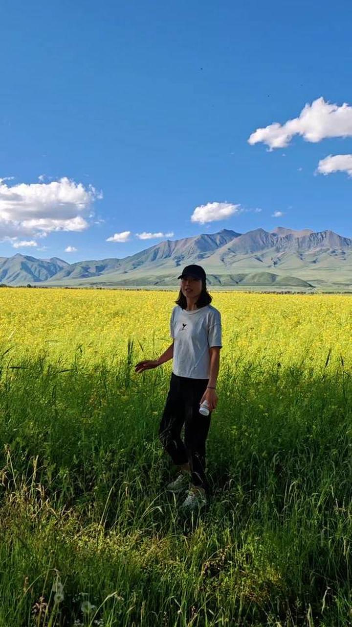 想去门源观赏油菜花的朋友，抓紧机会啦